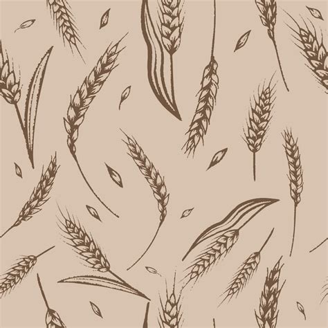 vintage wheat pattern   seamless design cereal plants  oats