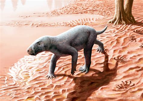 worlds oldest mammal ancestor  discovered  saber teeth