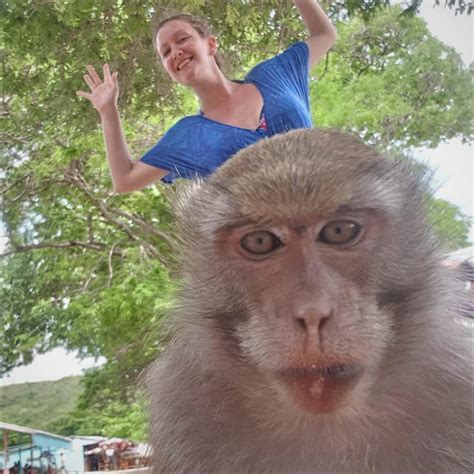 My wife photo-bombing a Macaque selfie : r/pics