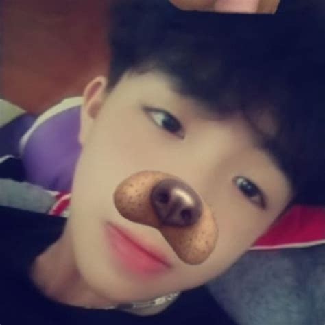 stream phu anh  listen  songs albums playlists