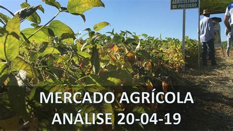 analise de mercado agricola    paracatu rural