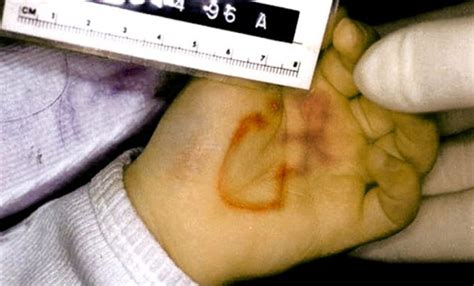 What the Police Didn't Want You to See: JonBenét Crime Scene - 5maunxi