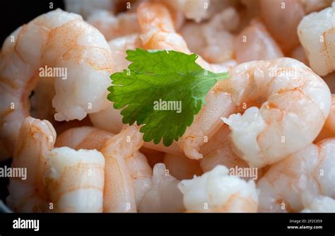 tapas stock photography stock photo alamy