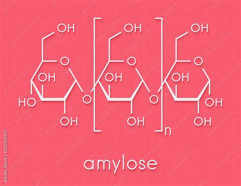 Amylopectin Structure