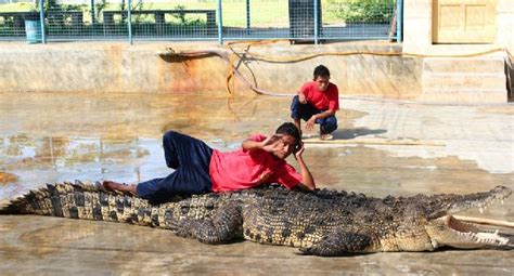 Tuaran Crocodile Farm - go Sabah