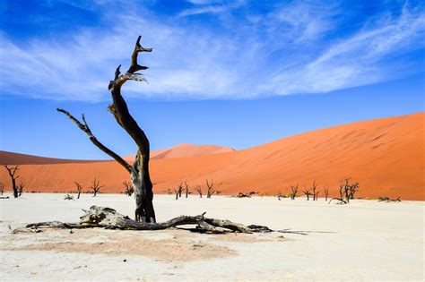 1186 best Namibian images on Pholder | Pics, Earth Porn and Travel