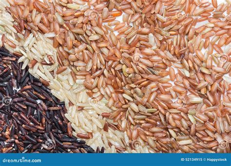 Tipos De Arroz Integral - Três Tipos Da Variedade Do Arroz Integral Imagem de Stock - Imagem de ...