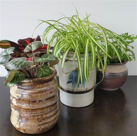 DIY PROJECT | Upcycled Ceramic Jars to Plant Pots - Threadbare Cloak