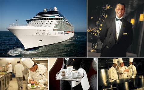 cruise ships employment  cruise ships