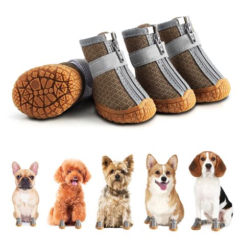 Can You Put Shoes On Dogs