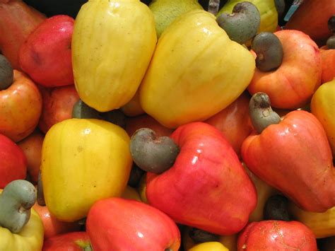 Fruta Do Nordeste Amarela - Frutas Tipicas Do Nordeste - FDPLEARN