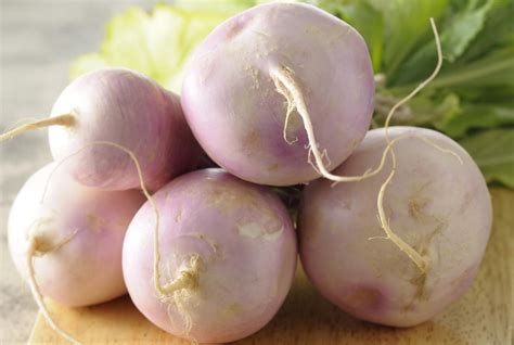 All About Turnips, From Season to Recipes