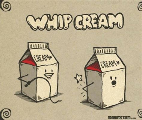 14 best whipped cream images on Pinterest | Funny photos, Whipped cream and Chantilly cream