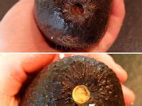 balabusta tips ideas household hacks helpful hints food hacks