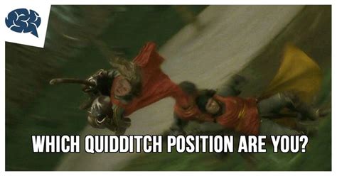 I am a Chaser! Which Quidditch Position Are You? | Quidditch positions ...