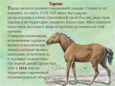 Вымершие по вине человека животные