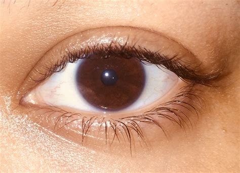 brown eye aesthetic beautiful eyes color brown eyes aesthetic