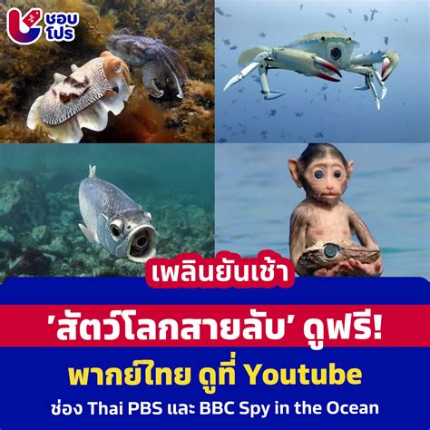 Watsons - Watsons added a new photo.