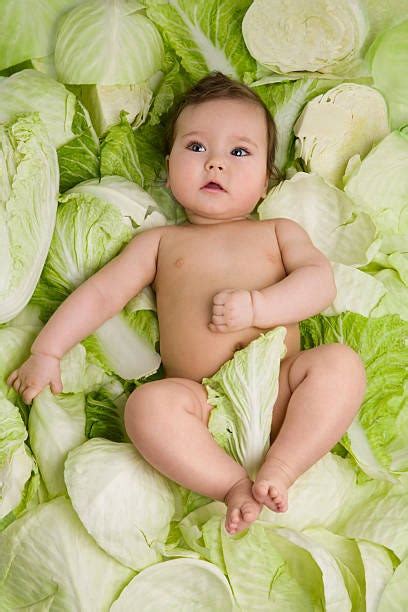 Is Cabbage Beneficial for Babies? | by i Baby | Nov, 2023 | Medium