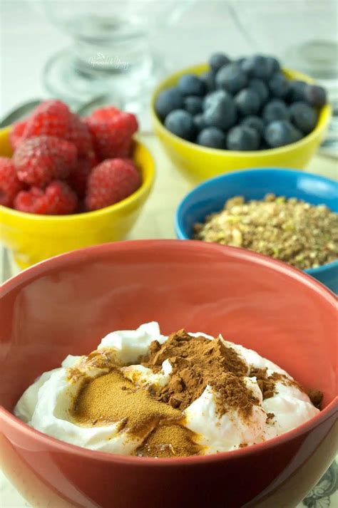 Mocha Coffee Yogurt | Homemade & Yummy