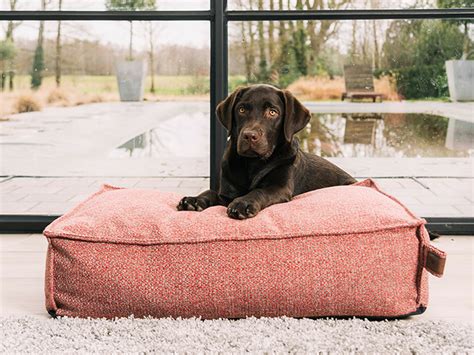 waarom puppys voordeel hebben bij een orthopedische mand