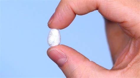 Worlds Smallest Bird Egg