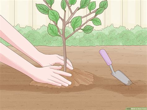 top  save trees images amazing collection save trees images full