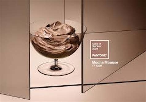mocha mousse chosen   pantone color   year skin