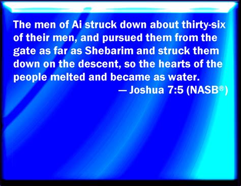 Joshua 7:5 And the men of Ai smote of them about thirty and six men ...