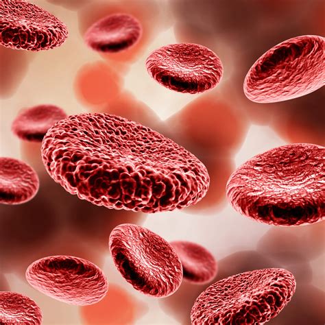 Rdw Alto: Causas, Significado Y Cómo Bajarlo | Doctor Online