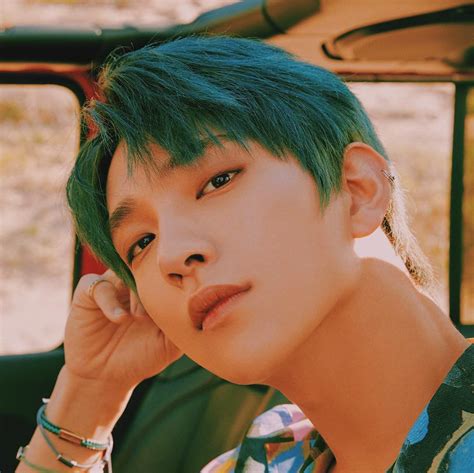 kitty wiki seventeen carat amino