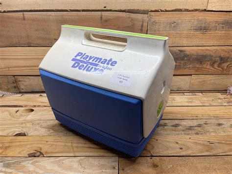 Lot - Small cooler