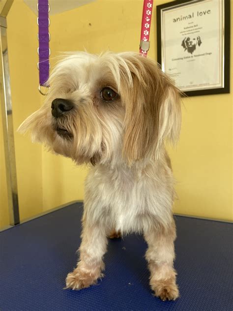 Customers are protesting the new katy post office hour cuts