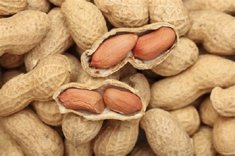 Maní: daño y beneficio para el cuerpo humano, propiedades y vitaminas ...