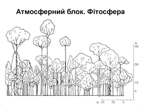 Екологія та етологічна етика. Біосфера. (Тема 4) - презентация онлайн