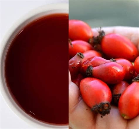 Domácí šípkový sirup recept | Eshop Bylinkářství