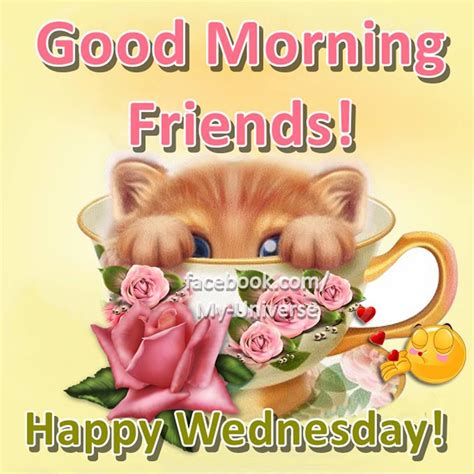 Cute Kitty Good Morning Happy Wednesday Pictures, Photos, and Images ...