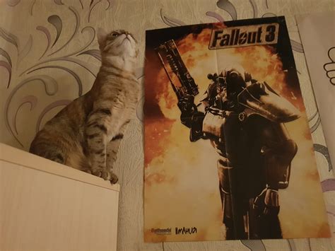 Василиса и Fallout 3 | Пикабу