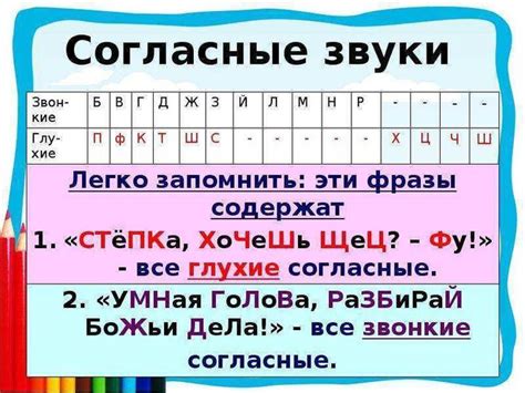 Как определить звонкий или глухой согласный звук?