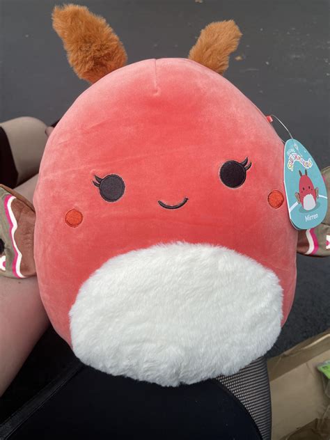 Dollywood, Pigeon Forge, TN 💖 : r/squishmallow