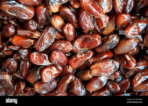 Dates Fruit Made Of at Alice Hager blog