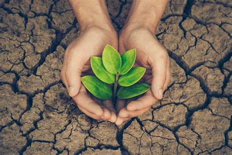 simple effective ways    environment starting today