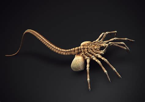 c4d facehugger alien | Cinéma