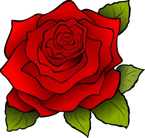 rosa png