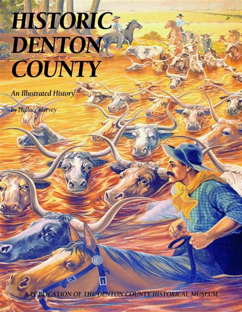 Step-by-step instructions for finding Denton County court records