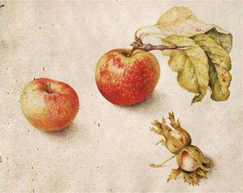 Giovanna Garzoni - Biography