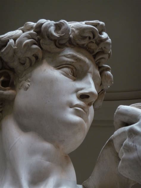 These Ultra Detailed Close-Ups Will Give You a Deeper Appreciation for ...