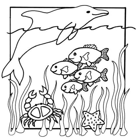 Easy Sea Animal Coloring Pages for Kids - Kids Art & Craft