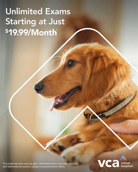 VCA Animal Medical Center of Pasadena | Pasadena TX