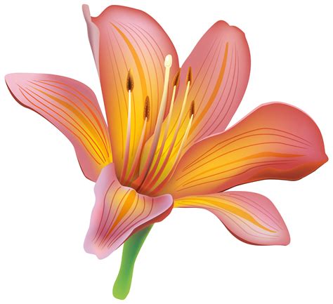 Free lily flower clipart, Download Free lily flower clipart png images